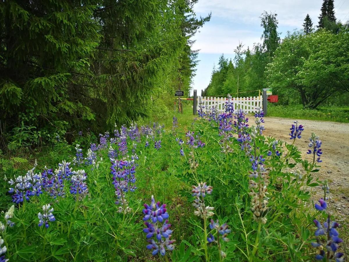 Raate Guest House Suomussalmi Exterior foto